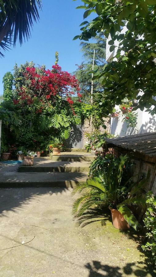 Casa Carolina B&B Sorrento Exterior foto