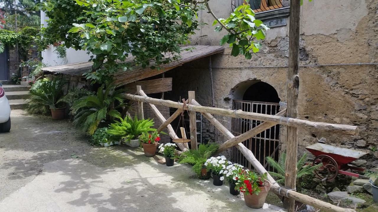 Casa Carolina B&B Sorrento Exterior foto